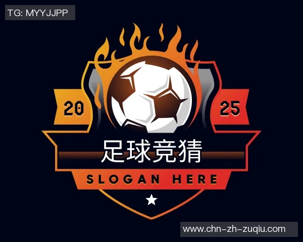 BLG战队在CSGO中的团队协作策略与实战分析探讨