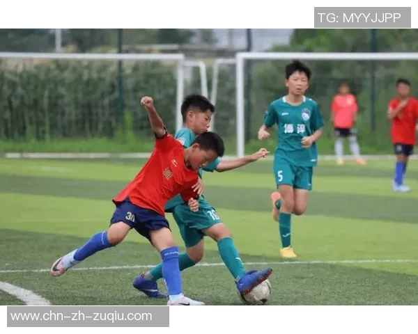 探索足球篮球俱乐部的魅力与发展潜力助力青少年成长与团队精神培养