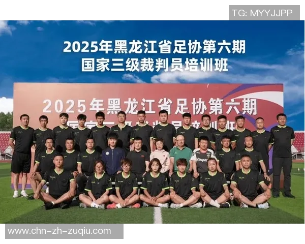 足球裁判D级培训课程全面解析助力裁判职业发展与提升竞技水平